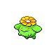 Pokémon Or Heartgold et Argent Soulsilver - Floravol