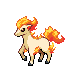 Pokémon Or Heartgold et Argent Soulsilver - Ponyta