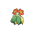 Pokémon joliflor