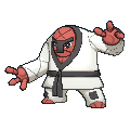 Pokémon judokrak