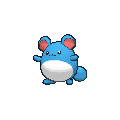 Pokémon marill