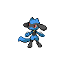 Pokémon Noir et Blanc - Riolu