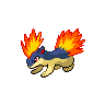 Pokémon nb2/156