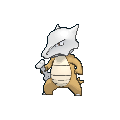 Pokémon ossatueur