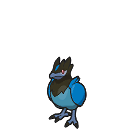 Pokémon pev/bleuseille