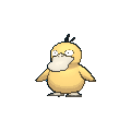 Pokémon psykokwak