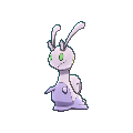 Pokémon usul/705