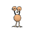 Pokémon X et Y - Doduo