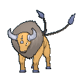 Pokémon X et Y - Tauros