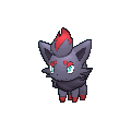 Pokémon zorua