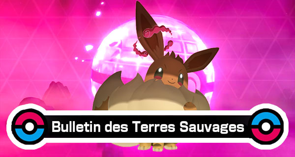Évoli Gigamax Pokémon Épée et Bouclier Évoli Gigamax Pokémon Épée et Bouclier
