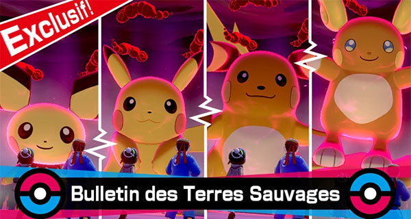 Pokémon Épée et Bouclier : Pikachu et sa famille en Raids Dynamax