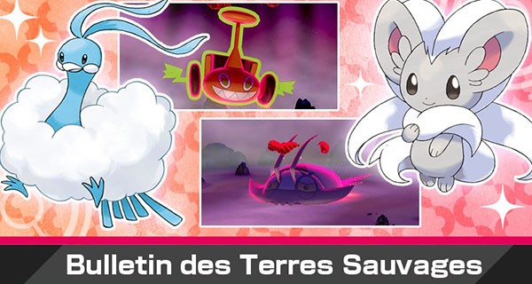 Pokémon Épée et Bouclier : nouvel événement Dynamax avec Pashmilla shiny Pokémon Épée et Bouclier : nouvel événement Dynamax avec Pashmilla shiny