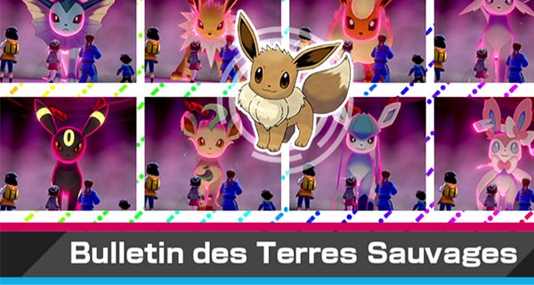 Pokémon Épée et Bouclier : nouvel événement Dynamax avec Évoli shiny