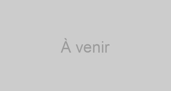 Pokémon Écarlate et Pokémon Violet Pokémon Écarlate et Pokémon Violet