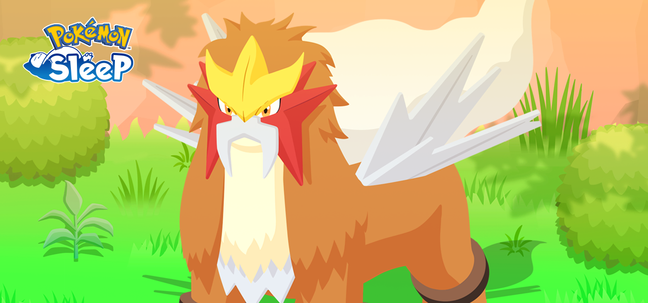 Pokémon Sleep : Débuts d'Entei Pokémon Sleep : Débuts d'Entei