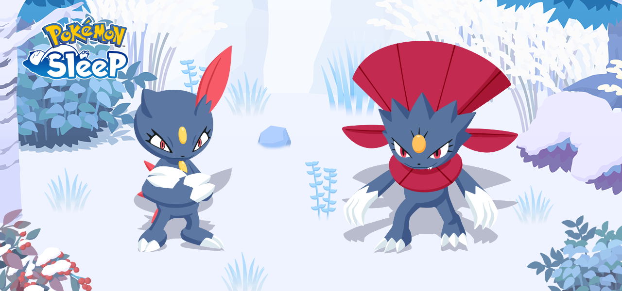 Pokémon Sleep : Farfuret de Dimoret débarquent sur le jeu ! Pokémon Sleep : Farfuret de Dimoret débarquent sur le jeu !